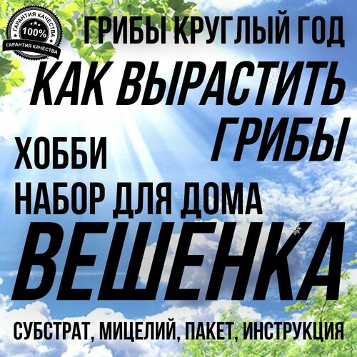 Как вырастить грибы