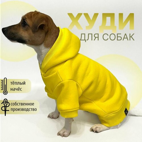 Худи для собак