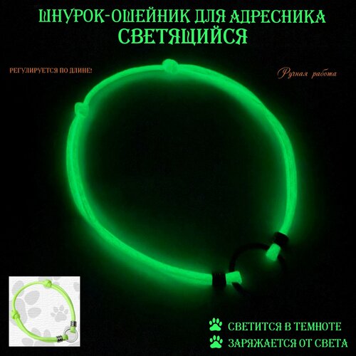 Шнурок-ошейник светящийся для адресника. L (30-45 см) Салатовый