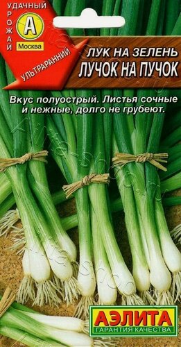 Изображение товара Лук на зелень Лучок на пучок ( 3 упаковки ), семена