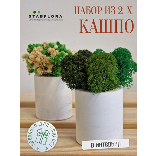 фото "гипсовые кашпо грин с мхом и цветами" от бренда stabflora, 2 шт