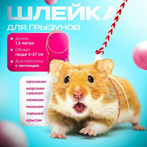 Шлейка поводок для грызунов (крыс, хомяков, мышек, морских свинок, джунгариков, дегу), 1,5 метра, красная