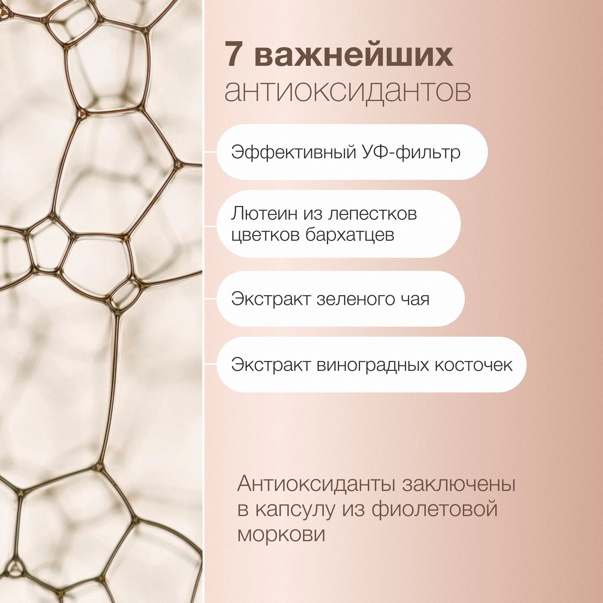 Изображение Advanced Nutrition Programme Skin Antioxidant, для красоты кожи 14 капсул
