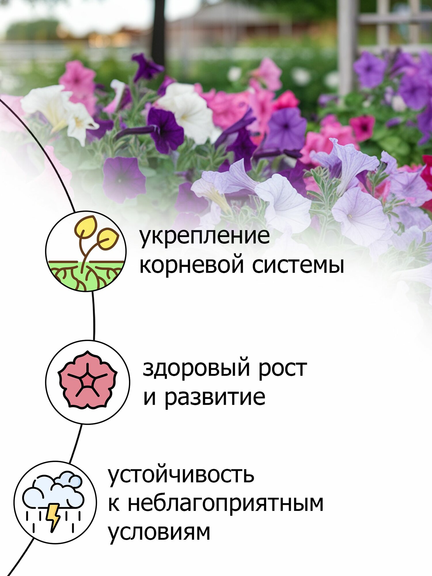Изображение Удобрение Пуршат 500 г для активного роста и цветения петуний и балконных цветов - быстрое усвоение