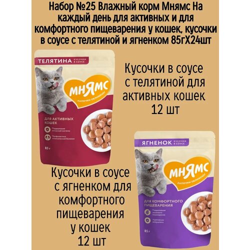 Набор №25 Влажный корм Мнямс для активных домашних кошек, кусочки в соусе с телятиной и ягненком, 24 шт х 85 гр
