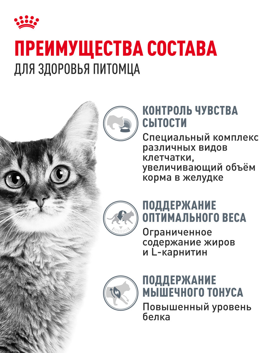 Корма Для Кошек Xiaomi Сухой корм для кошек Royal Canin Light Weight Care для профилактики лишнего веса, 1,5 кг