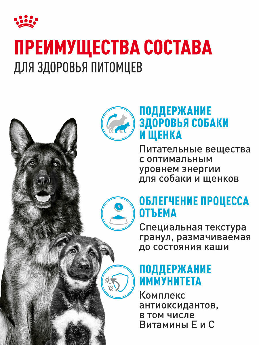 Сухой корм для щенков, беременных и кормящих собак Royal Canin Maxi Starter Mother&Babydog для крупных пород, 15 кг — фото 1