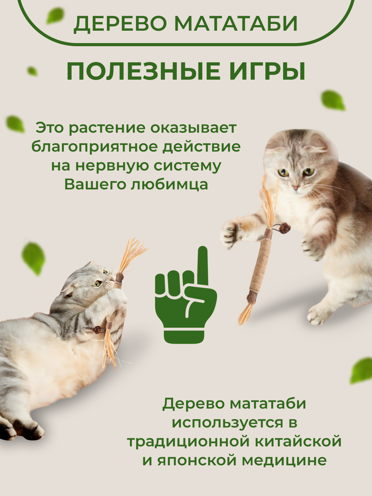 Картинки Полезные палочки для кошек. Лакомство для чистки зубов, игрушка дразнилка из Мататаби с эффектом кошачьей мяты, 2 штуки
