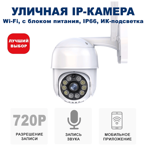 Уличная беспроводная ip-камера наблюдения WiFi (C блоком питания) и управлением со смартфона Blackview CAM-02