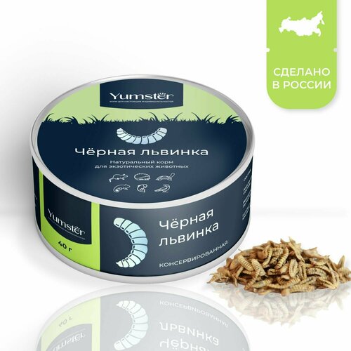 Консервированная личинка черной львинки, корм для крыс, хорьков, хомяков, ежей, ящериц, птиц, лакомство для грызунов, экзотических животных, Yamster, 40 г