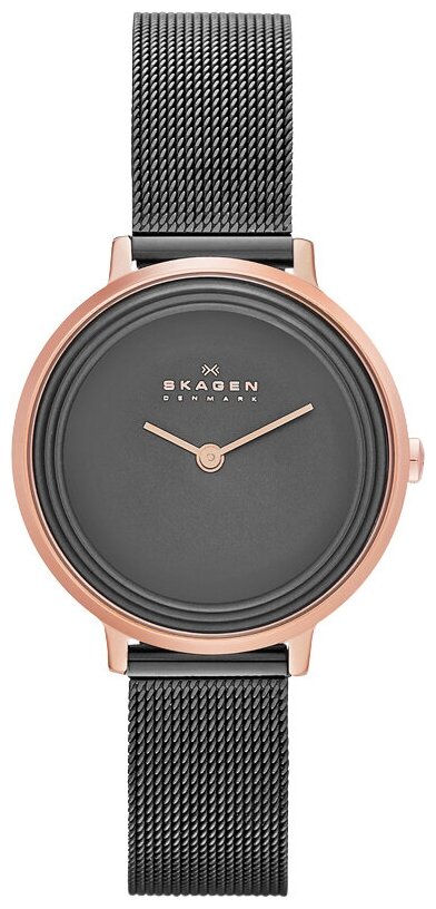 Наручные часы SKAGEN SKW2277