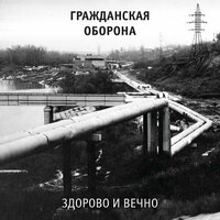 Лучшие Виниловые пластинки LP Гражданской Обороны