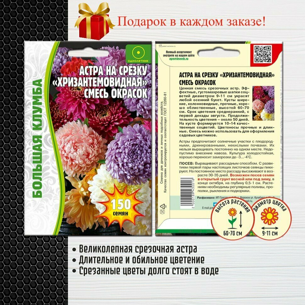 Астра на срезку "Хризантемовидная" смесь (2 упаковки)
