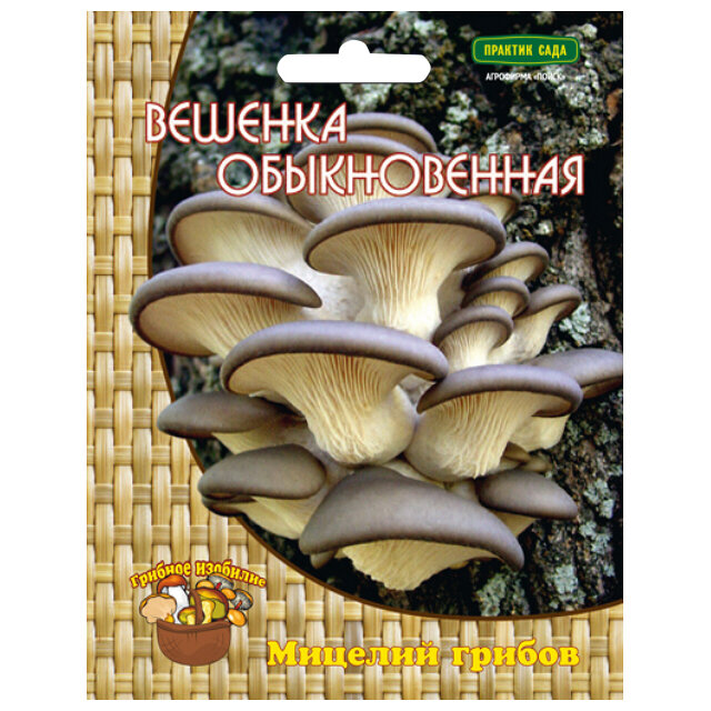 Мицелий грибов вешенка обыкновенная 12 др. п.