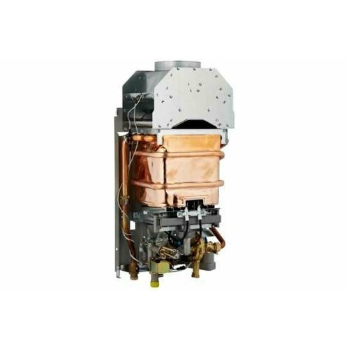 Arideya водонагреватель газовый ARD-02-000003 2244000₽