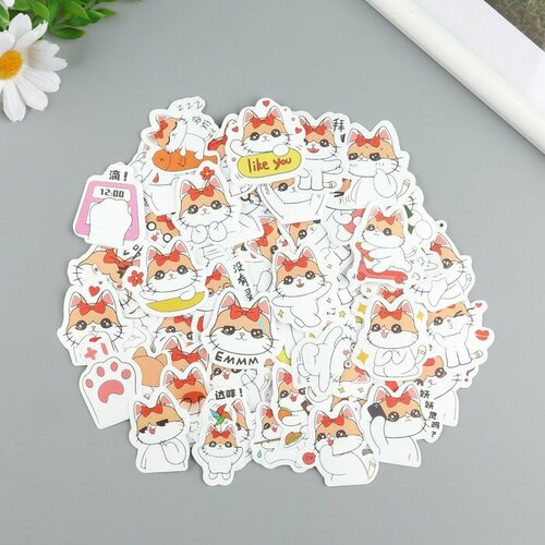Наклейки пластик Весёлая кошка набор 60 шт 10х12 см 334₽