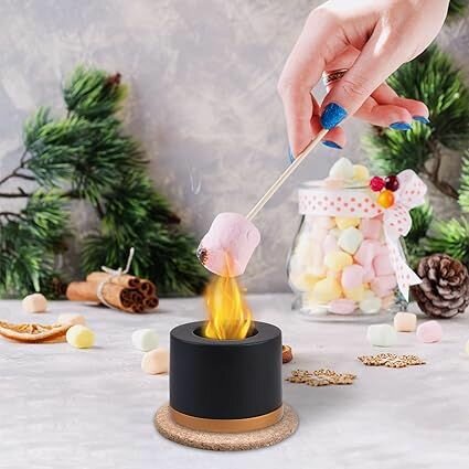 фото Декоративный портативный биокамин для дома и офиса