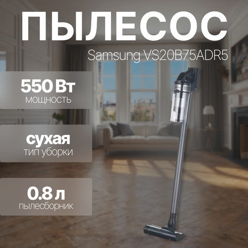 Пылесос вертикальный Samsung VS20B75ADR5/EV черный/серый