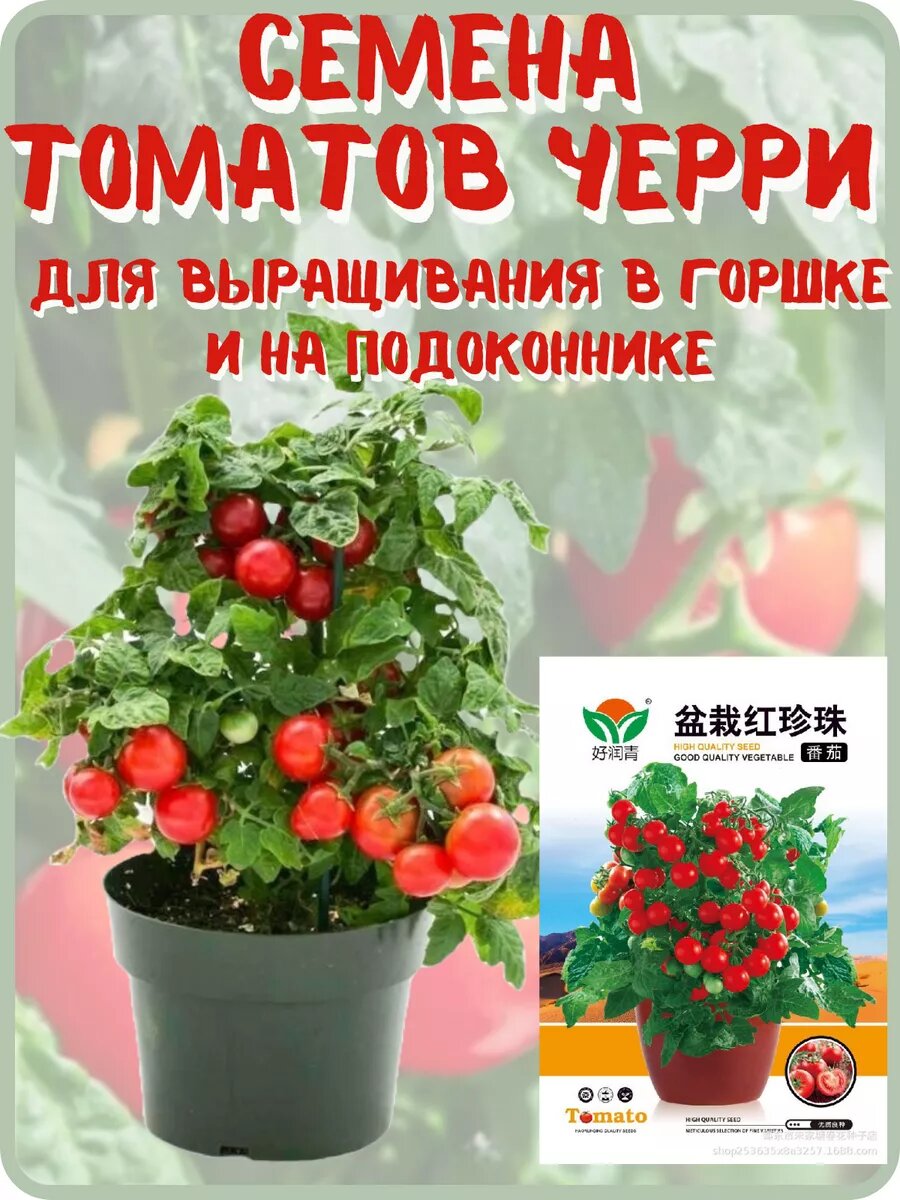 Семена томатов черри для балкона и подоконника
