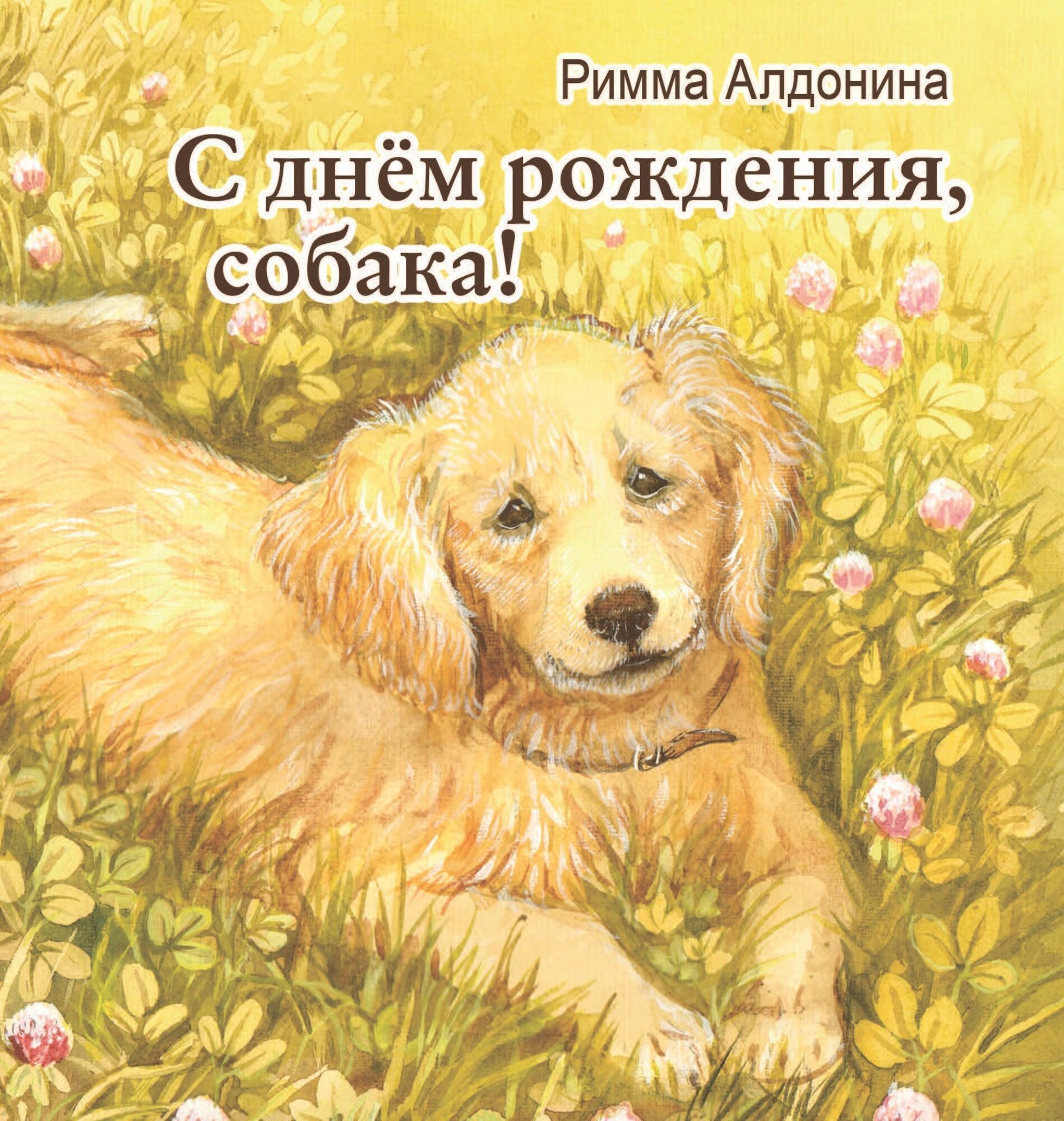 Книга с веселыми и озорными стихами о собаках "С днём рождения, собака", автор Римма Алдонина