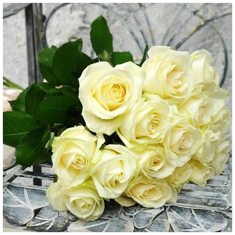 Монобукет  Моника Талисман Флора   розы  15 цветов  высота 55см  без упаковки