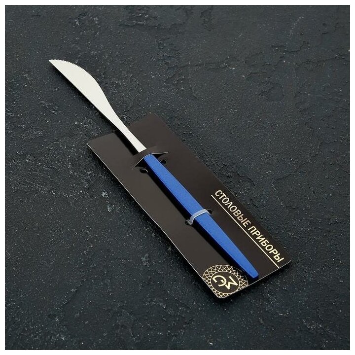 Нож столовый Magistro «Блинк», 22 см, цвет серебряный, синяя ручка, на подвесе - фотография № 3
