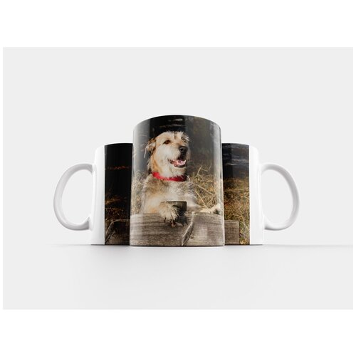 фото Кружка "снег, собака, зима" 320 мл lotsprints