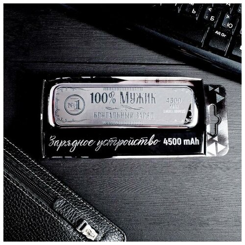Портативный аккумулятор 100 мужик 4500 mAh 35 х 13 см 158100₽