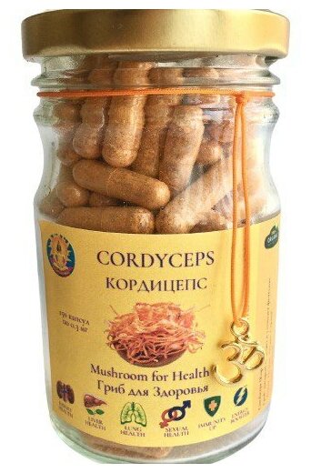 Гриб Кордицепс / CORDYCEPS Militaris / SOLNECHNYI SHIVA Superfood / Восстановление организма / Повышение иммунитета