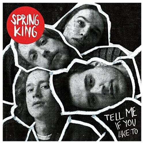 AUDIO CD Spring King: Tell Me If You Like to (1 CD) блокнот енот take me away