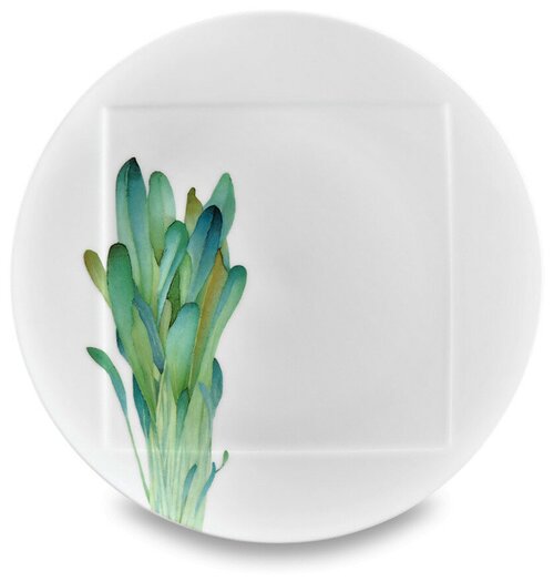 Тарелка обеденная «Горчица», диаметр: 27 см, материал: фарфор, цвет: белый