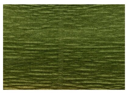 Blumentag Гофрированная бумага GOF-180 50 см х 2.5 м 180 г/м2 17А8 черепахово-зеленый