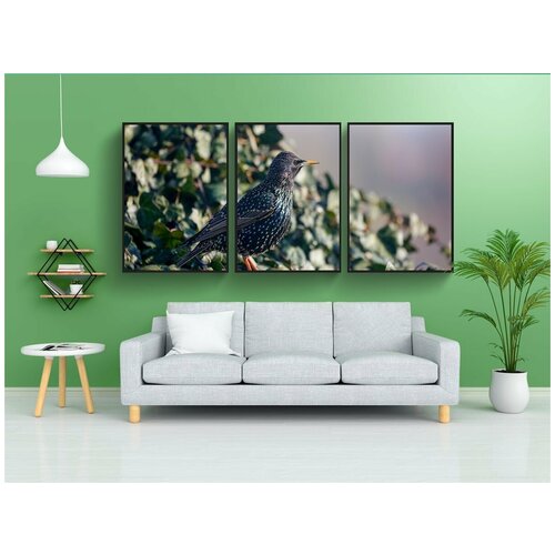 фото Набор модулных постеров для интерьера "птица, животное, songbird" 60x90 см. в тубусе, без рамки lotsprints