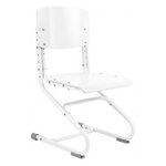 Растущий cтул Anatomica Ergo Chair - изображение