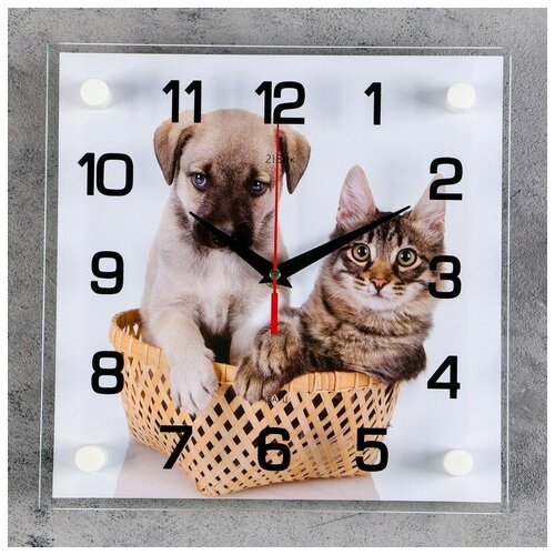 фото Часы настенные "щенок с котенком" newstory