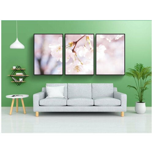фото Набор модулных постеров для интерьера "вишни в цвету, лепестки, природа" 60x90 см. в тубусе, без рамки lotsprints