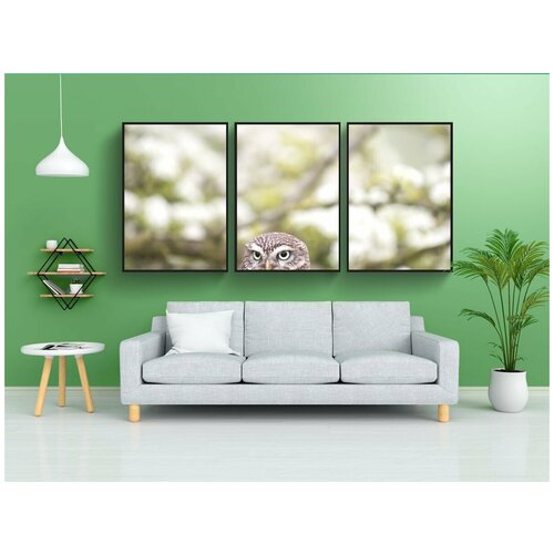 фото Набор модулных постеров для интерьера "сова, птица, животное" 60x90 см. в тубусе, без рамки lotsprints