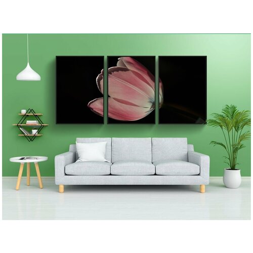 фото Набор модулных постеров для интерьера "тюльпан, цветок, розовый" 60x90 см. в тубусе, без рамки lotsprints