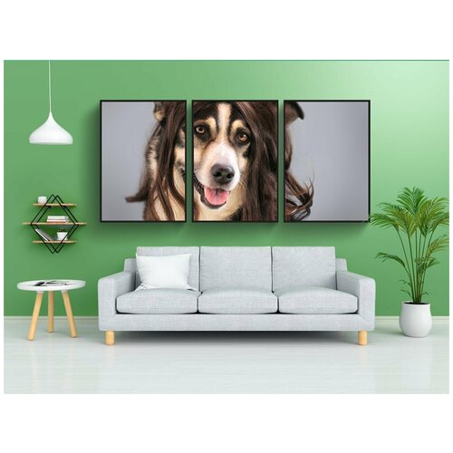 фото Набор модулных постеров для интерьера "собака, волосы, крыло" 60x90 см. в тубусе, без рамки lotsprints