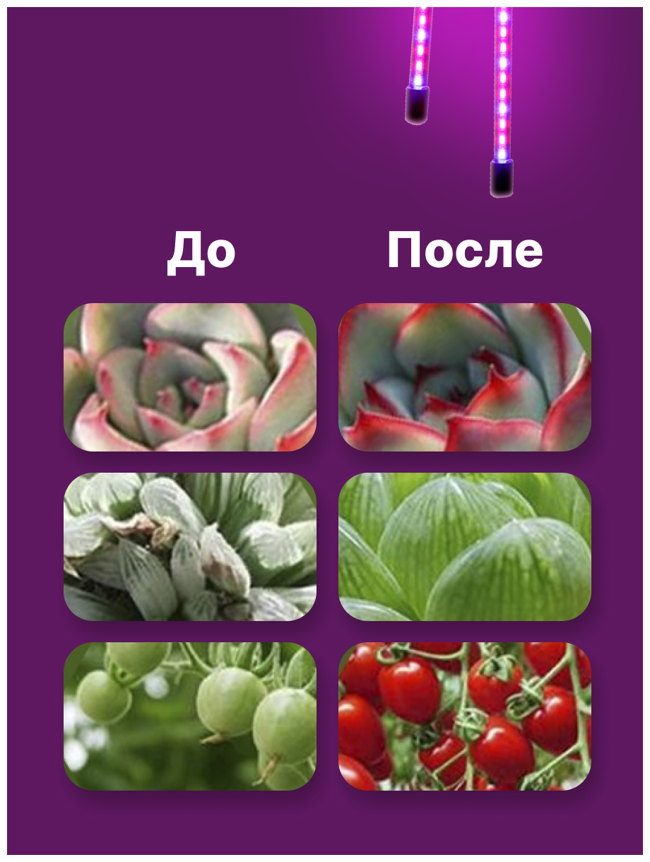 Фитолампа для растений светодиодная / Фитосветильник полного спектра для рассады и цветов