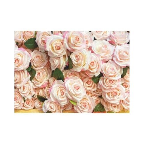 фотообои b 013 bellissimo роскошные розы 8 листов 2800х2000мм Фотообои B-013 Bellissimo Роскошные розы, 8 листов 2800х2000мм Симфония 5364743 .