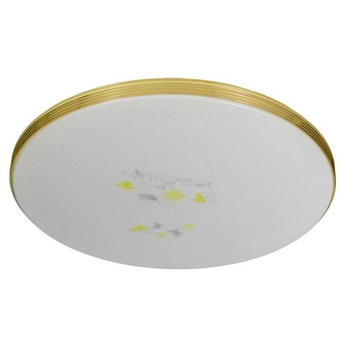 Светильник светодиодный Флора 96Вт(48+48) LED ПДУ ночник 2700х6500К 50х50х5см