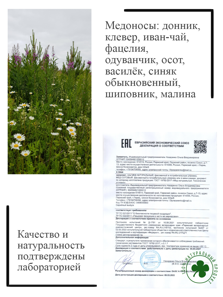 Мёд цветочный разнотравье 1 литр.(1.4 кг.) СБОР 2025 г. — фото 1