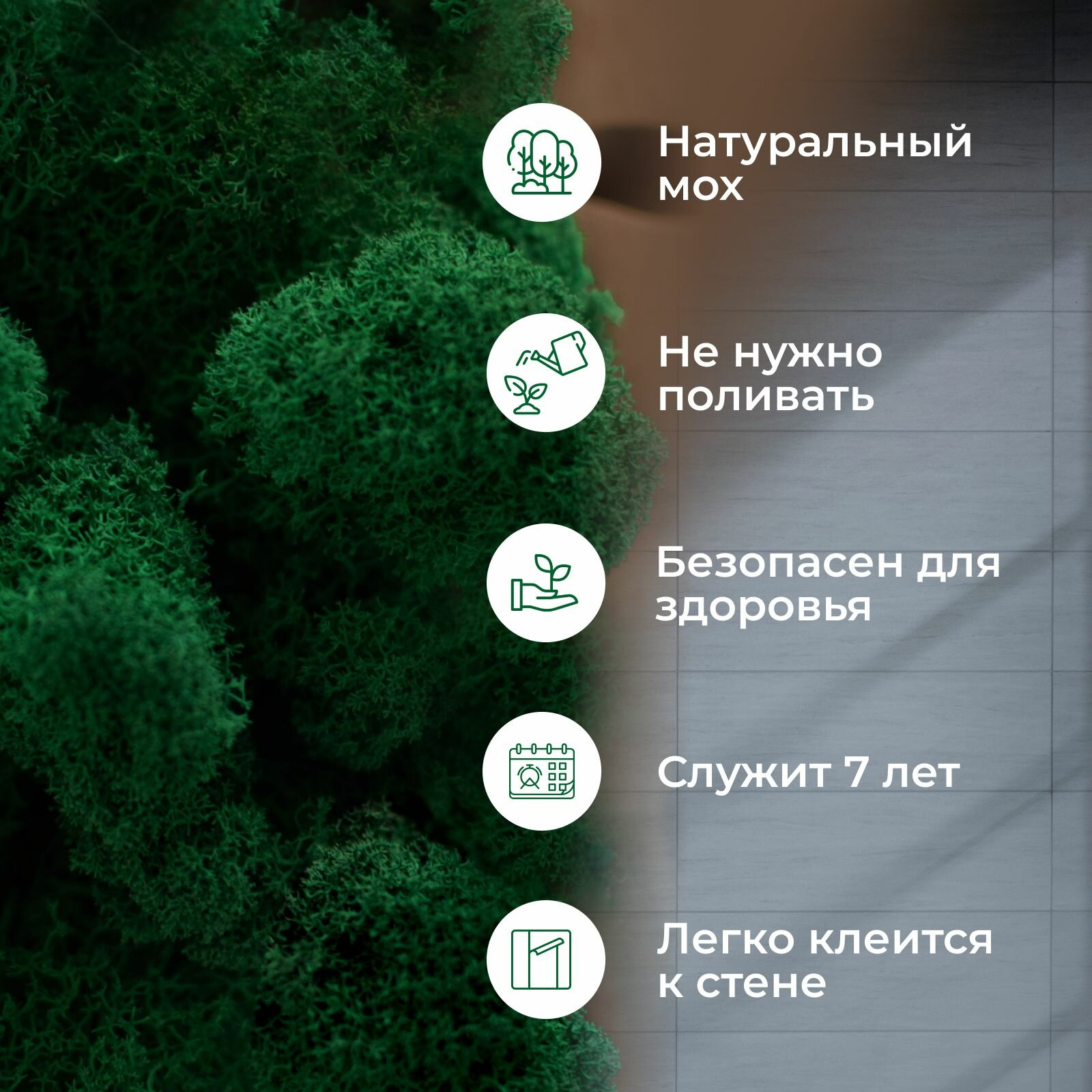 Панель/панно из мха самоклеящаяся для декора и украшения комнаты темно-травяной 50х80см — фото 1