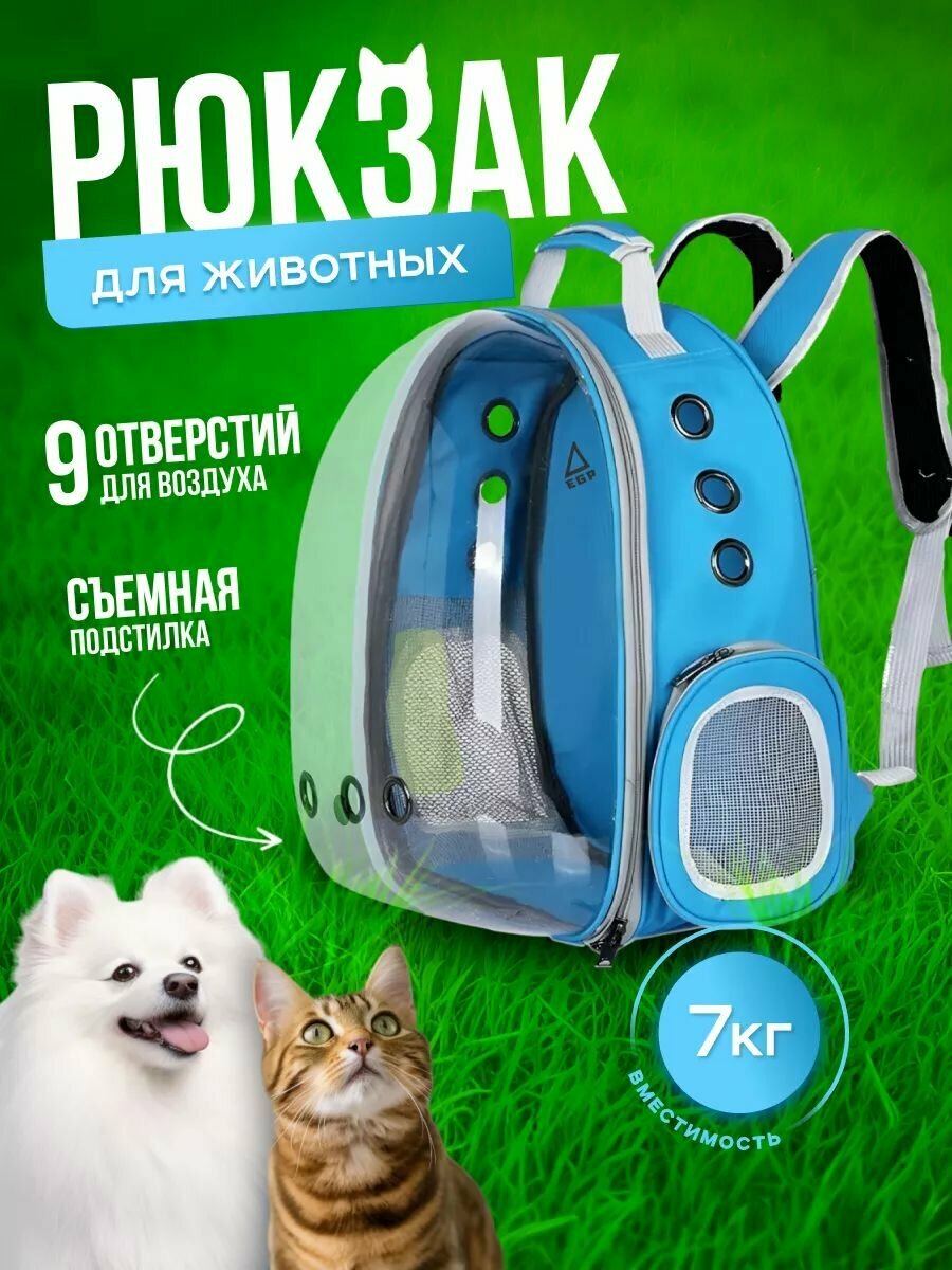 Чемодан для животных на колесиках черный