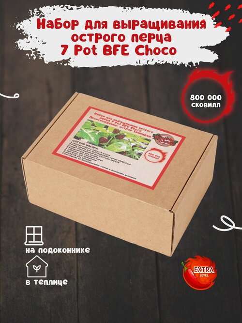 Набор для выращивания острого перца 7 Пот БФЕ Шоколад в домашних условиях, мини парник для рассады
