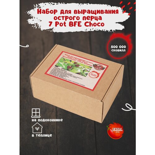 Набор для выращивания острого перца 7 Пот БФЕ Шоколад в домашних условиях, мини парник для рассады