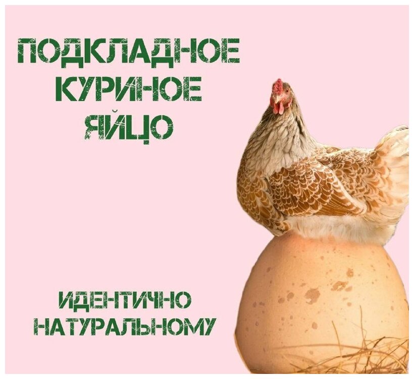 Подкладное куриное яйцо для несушек, муляж полое - фотография № 1