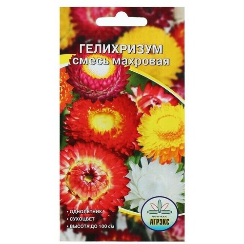 Семена цветов Гелихризум махровый смесь О 01 гр 306₽
