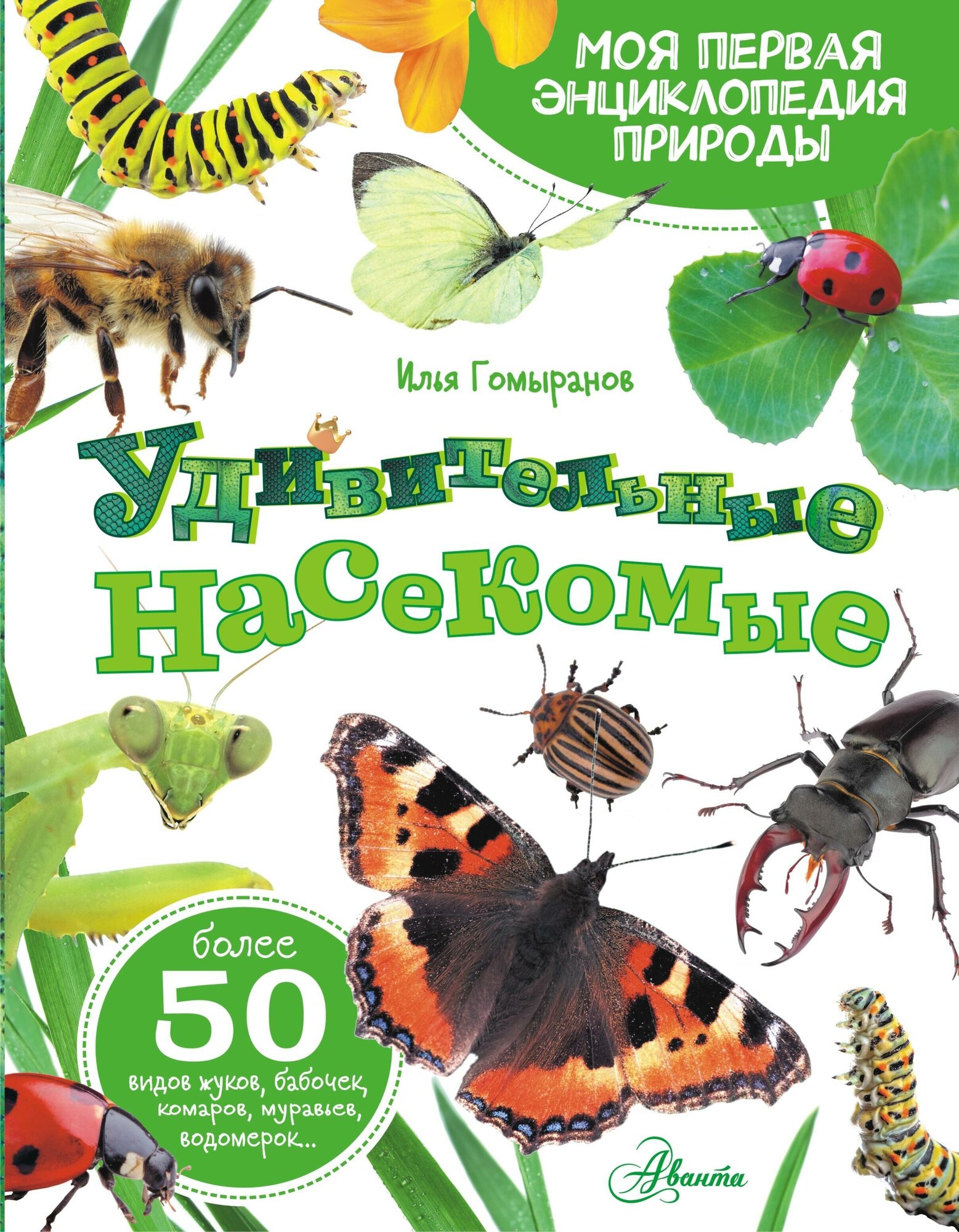 Удивительные насекомые (Гомыранов Илья Алексеевич) - фото №1